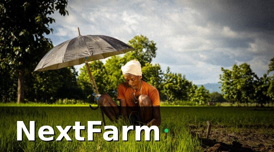 NextFarm — Hai nhóm bảo hiểm nông nghiệp: bắt buộc và tự chọn