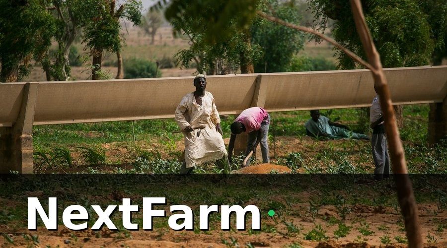 NextFarm — Mức hỗ trợ phí bảo hiểm từ Nhà nước