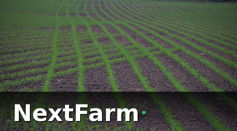 NextFarm — Bảo hiểm nông nghiệp là gì và tại sao vườn tiêu cần thiết?