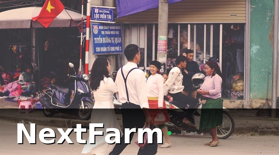 NextFarm — Khung pháp lý: bảo hiểm nông nghiệp bắt buộc tại Việt Nam