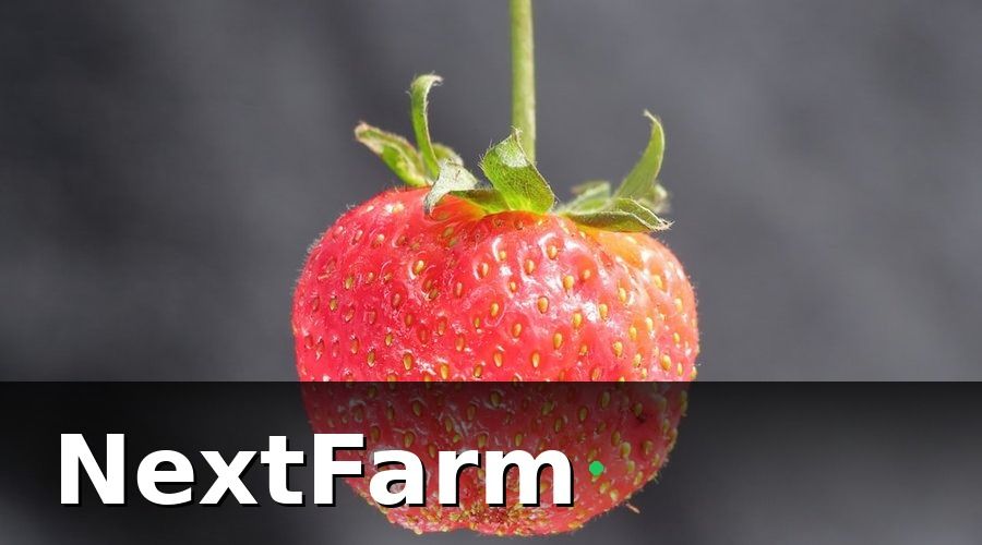 NextFarm — Bệnh Sau Khi Thu Hoạch Là Gì và Tại Sao Khó Kiểm Soát?