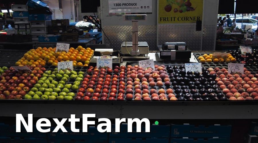 NextFarm — Phân Loại Tự Động — Từ Sức Người Đến Máy Móc Thông Minh
