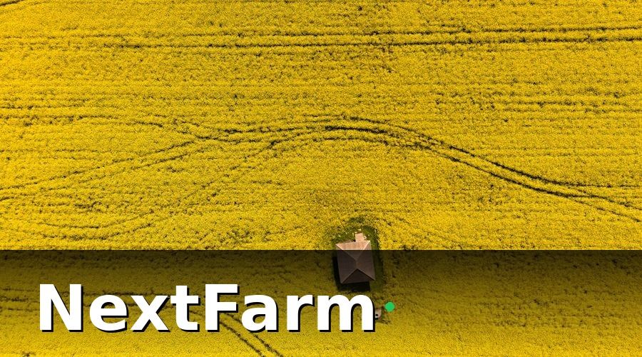 NextFarm — 3. Ứng Dụng AI Phát Hiện Bệnh Thường Gặp Trên Cây Lúa