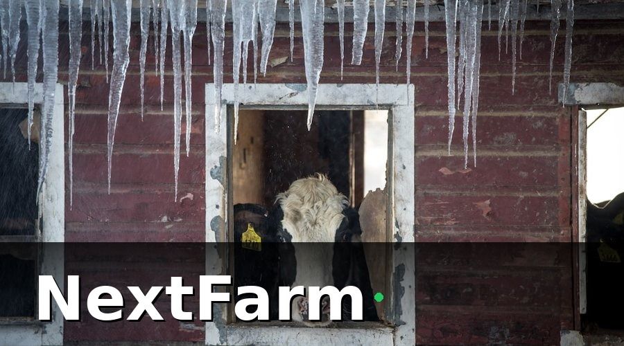 NextFarm — 1. Tại Sao Bệnh Trong Chăn Nuôi Gây Thiệt Hại Lớn Đến Vậy?