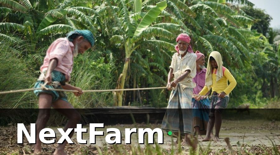NextFarm — Lưu ý khi áp dụng best practice quản lý trang trại tại Đông Nam Á