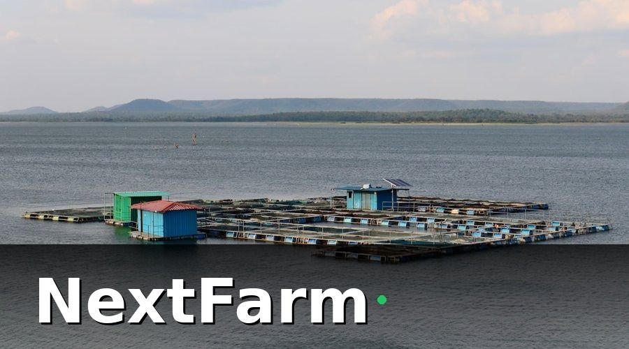 NextFarm — 2. Quản lý thức ăn — Yếu tố quyết định FCR