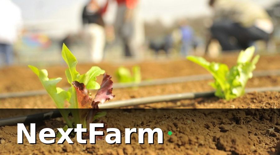 NextFarm — Xác định chỉ tiêu cần đo trước khi triển khai