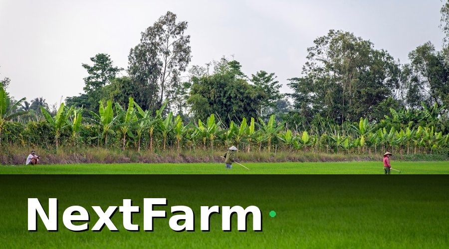 NextFarm — GlobalGAP là gì và tại sao Đông Nam Á đang chạy đua?