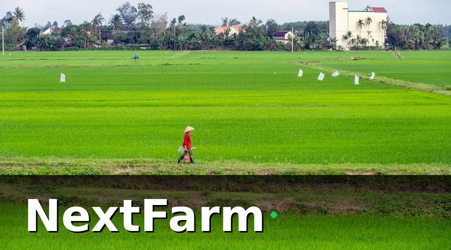 NextFarm — HACCP nông sản tại Đông Nam Á đang ở đâu?