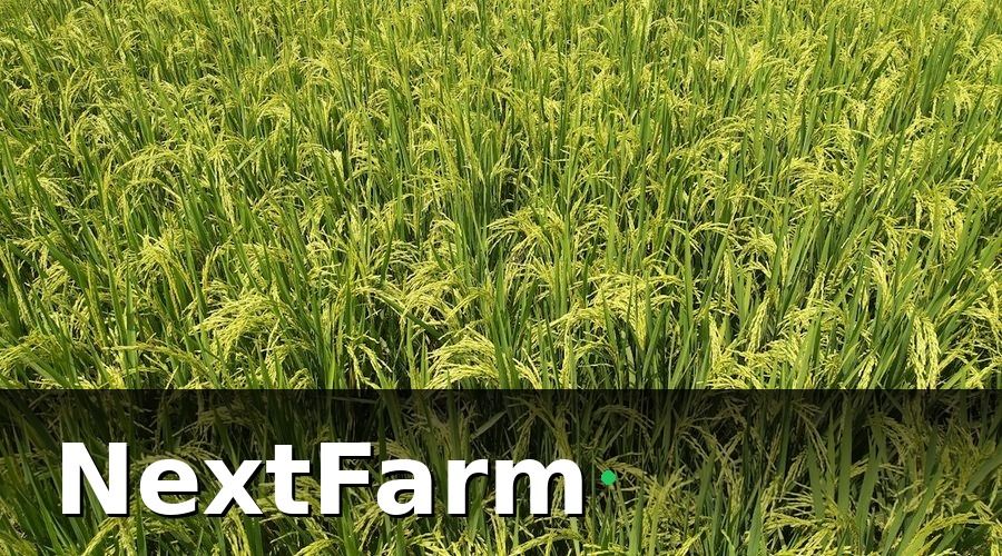 NextFarm — 1. Xây dựng bản đồ lô thửa và dữ liệu thành viên