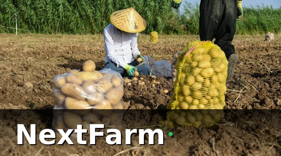 NextFarm — 1. Bắt đầu từ nền tảng: Chuyển đổi đất và giai đoạn chuyển tiếp