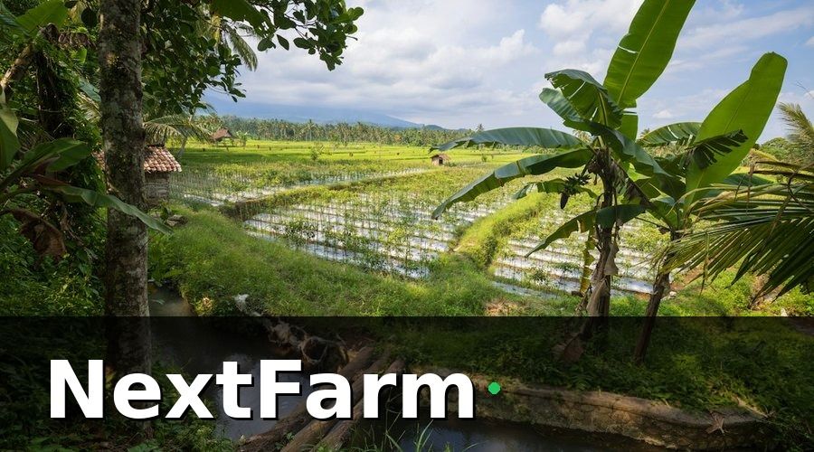 NextFarm — Áp dụng best practice quản lý IoT tại Việt Nam