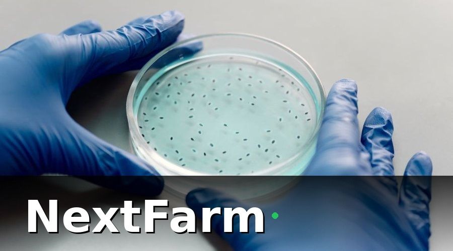 NextFarm — 7 Best Practice Quản Lý Cơ Sở ISO 22000 Nông Sản Hiệu Quả Nhất