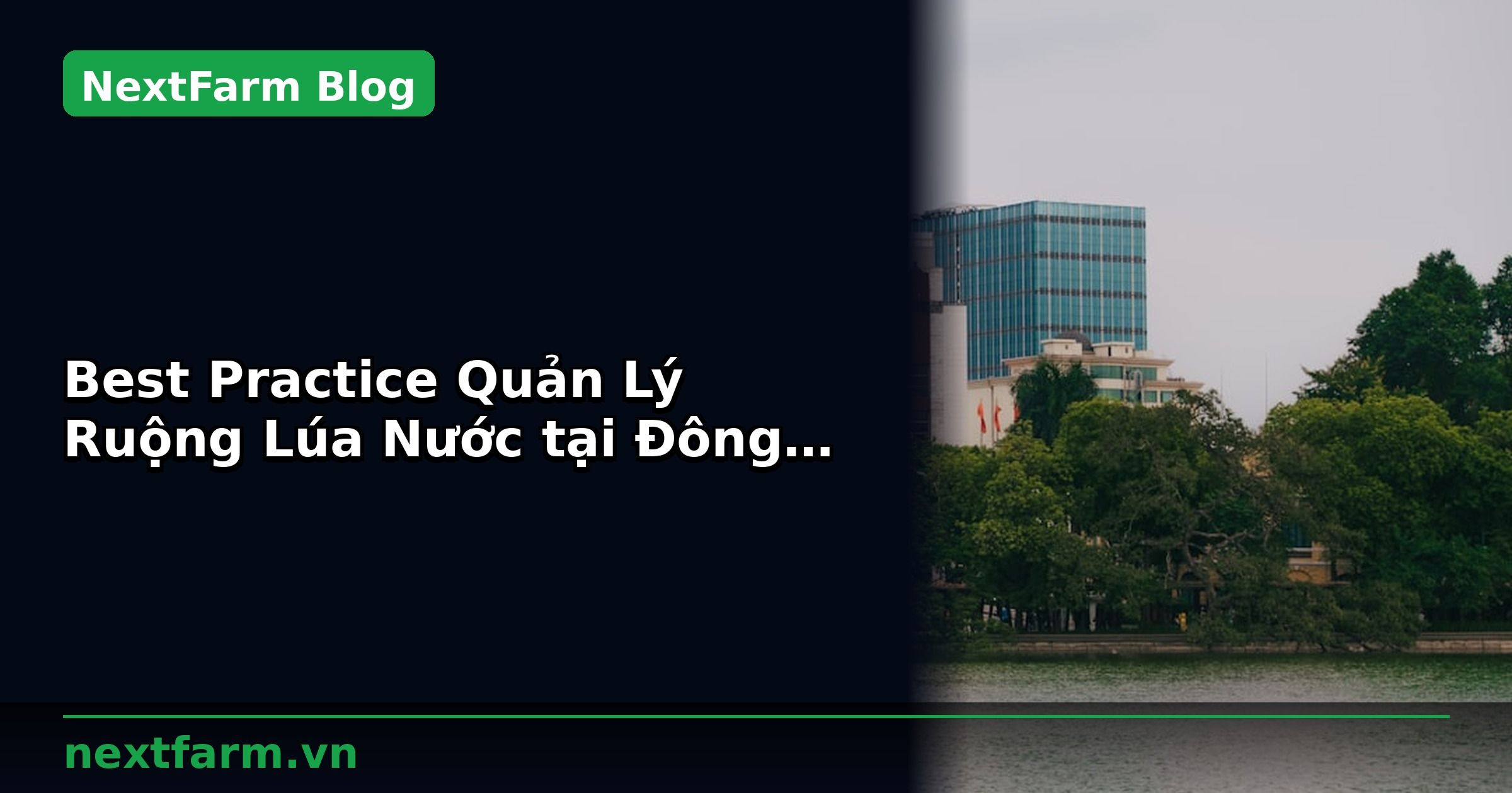 Best Practice Quản Lý Ruộng Lúa Nước tại Đông Nam Á | NextFarm