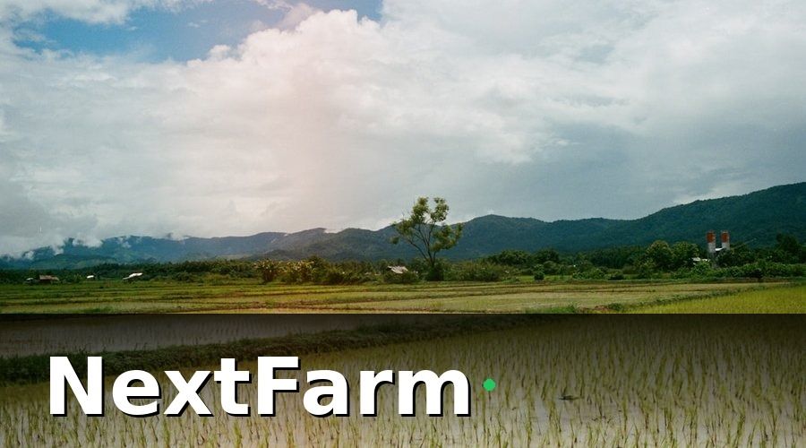 NextFarm — 2. Quản lý nước thông minh — nguyên tắc tưới ngập — khô xen kẽ (AWD)