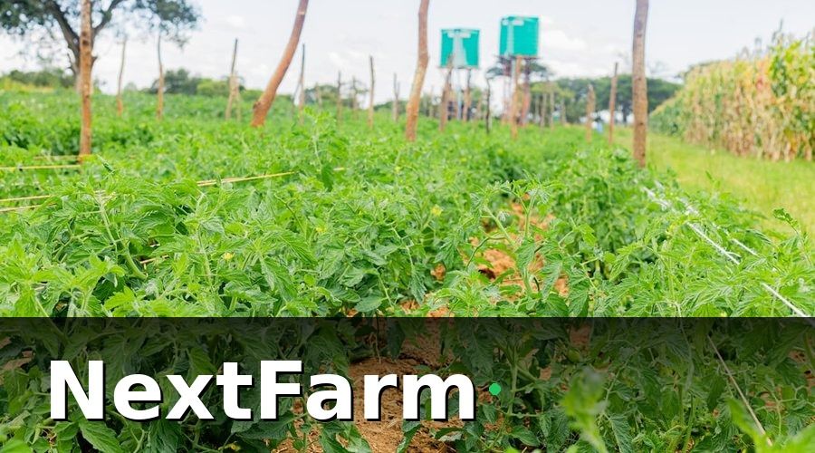 NextFarm — 2. Quản lý tưới và dinh dưỡng theo nguyên tắc 