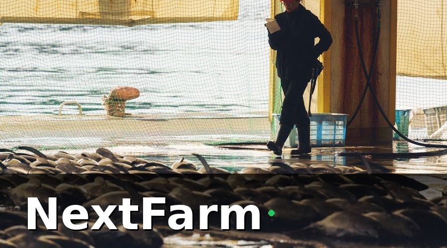 NextFarm — 3. Giám sát môi trường ao real-time — lợi thế cạnh tranh then chốt