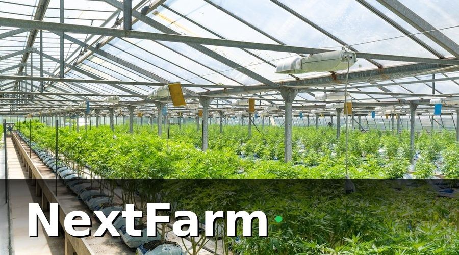 NextFarm — 2. Quản lý vi khí hậu trong nhà màng — yếu tố quyết định năng suất