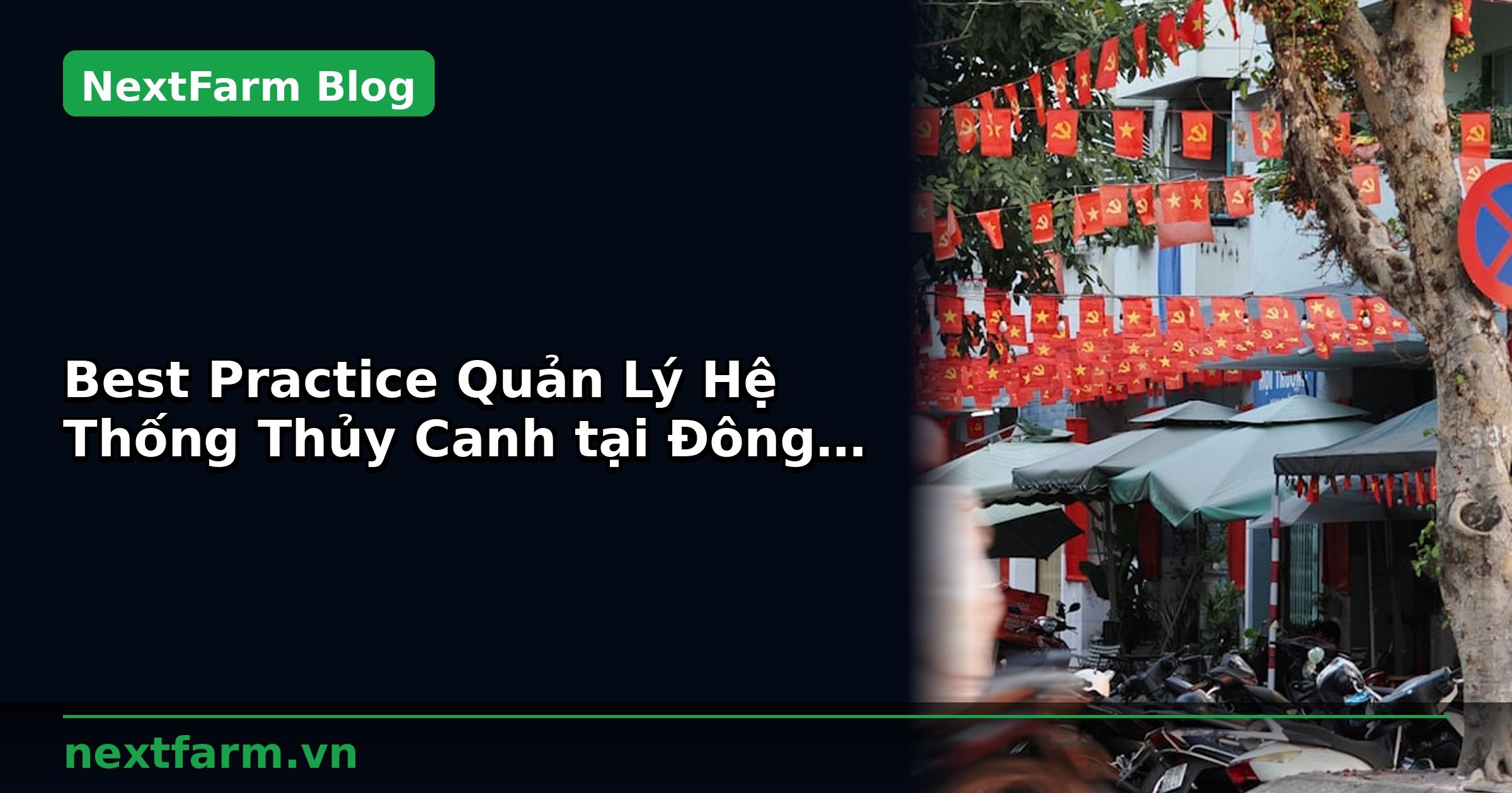 Best Practice Quản Lý Hệ Thống Thủy Canh tại Đông Nam Á | NextFarm