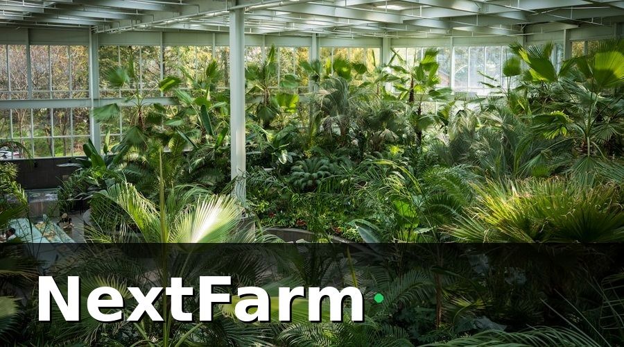 NextFarm — 1. Hiểu rõ đặc thù khí hậu Đông Nam Á trước khi thiết kế hệ thống