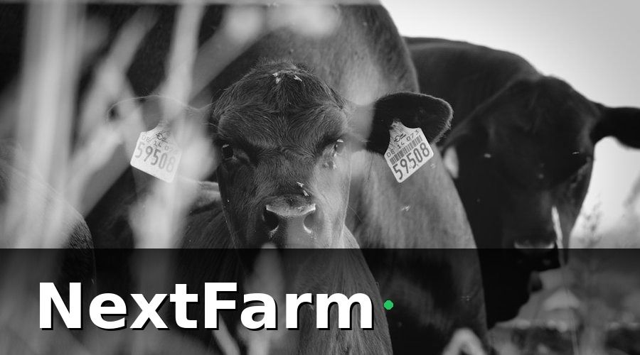 NextFarm — 1. Quản lý cá thể bò: nền tảng của mọi quy trình