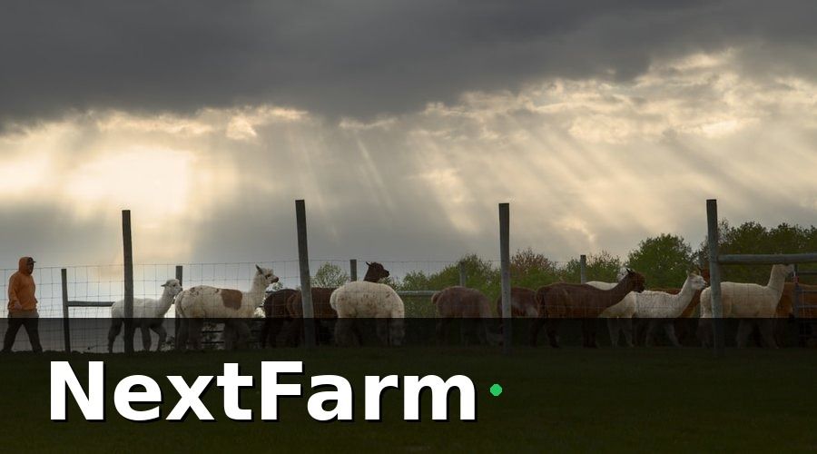 NextFarm — 3. Sức khỏe đàn và phòng bệnh chủ động