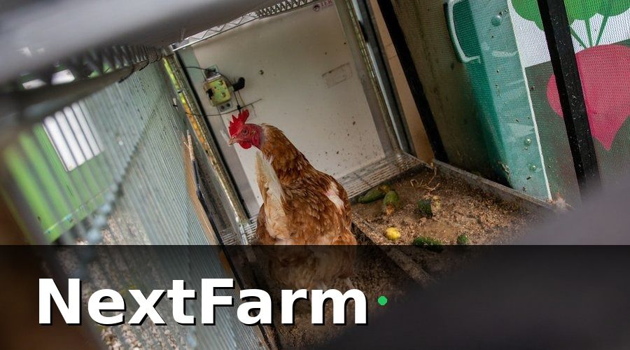 NextFarm — 1. Thiết Kế Chuồng Trại: Nền Tảng Của Mọi Best Practice