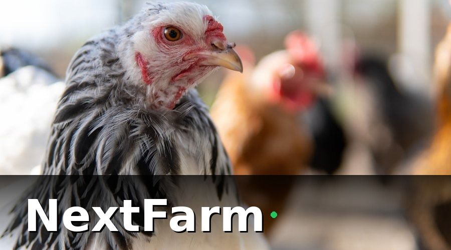 NextFarm — 2. Kiểm Soát Dịch Bệnh — Phòng Hơn Chữa