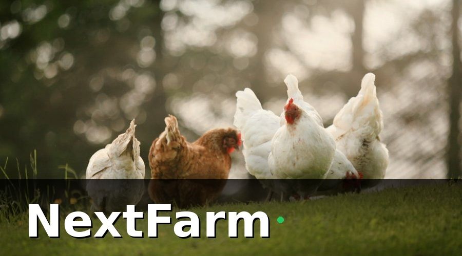 NextFarm — 3. Dinh Dưỡng và Quản Lý Thức Ăn