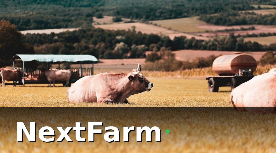 NextFarm — 1. Xây dựng hệ thống ghi chép và nhật ký chăn nuôi chuẩn
