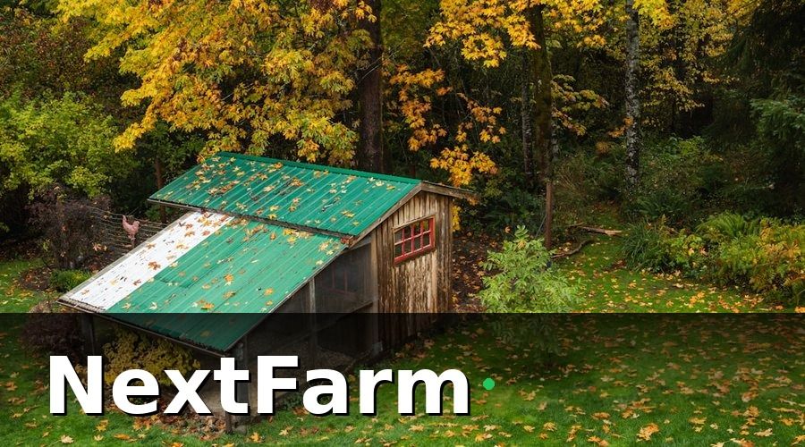 NextFarm — 1. Thiết Kế Chuồng Trại Đúng Chuẩn — Nền Tảng Của Mọi Best Practice Quản Lý