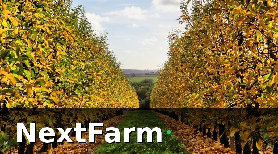 NextFarm — 1. Lập bản đồ lô thửa và kế hoạch canh tác ngay từ đầu vụ