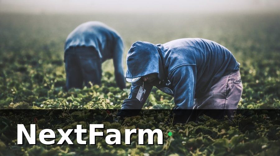 NextFarm — Blockchain Cho Nông Sản Là Gì? Giải Thích Đơn Giản Nhất