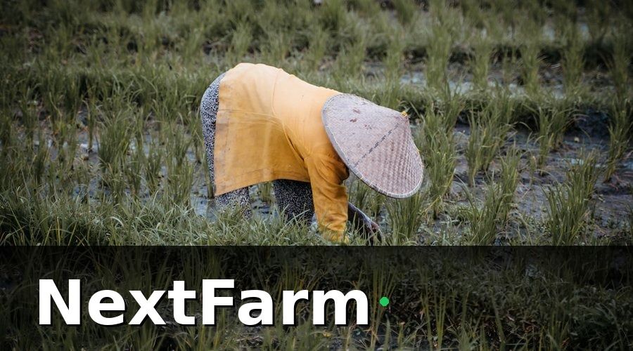 NextFarm — Tại Sao Nông Sản Việt Nam Cần Blockchain Ngay Bây Giờ?