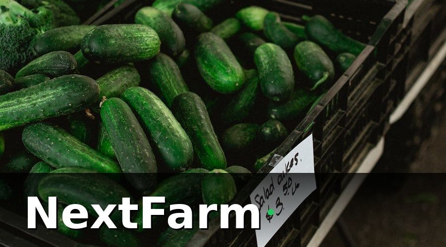 NextFarm — Ứng Dụng Thực Tế Của Blockchain Cho Nông Sản Tại Việt Nam