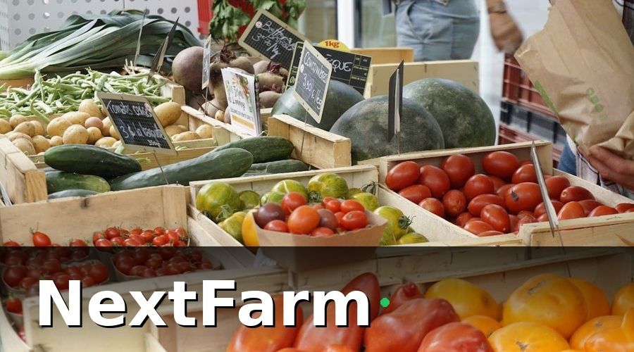 NextFarm — QR Code Truy Xuất Nguồn Gốc Hoạt Động Như Thế Nào?