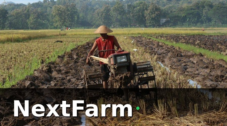 NextFarm — 2. Giao diện dễ dùng cho nông dân Việt Nam