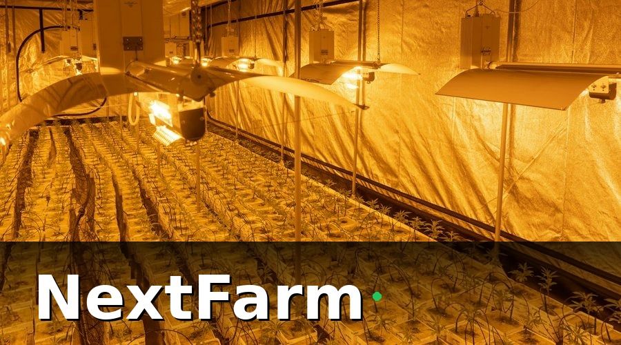 NextFarm — 3. Có tích hợp IoT để tự động hóa giám sát CCP?