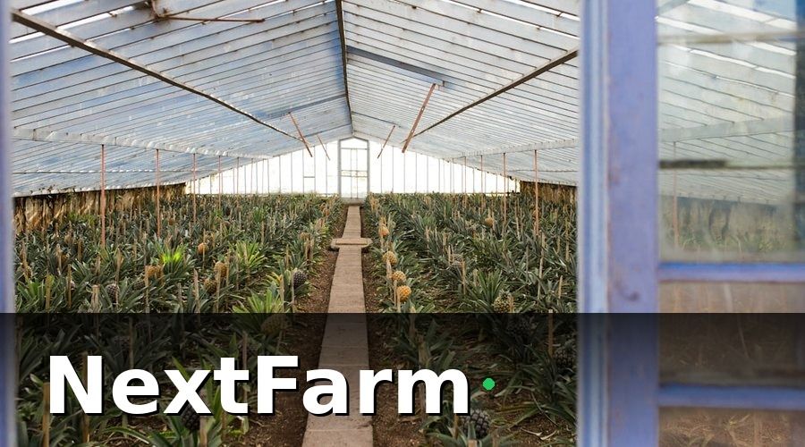 NextFarm — 2. Điều khiển tự động hóa: tưới, thông gió, làm mát