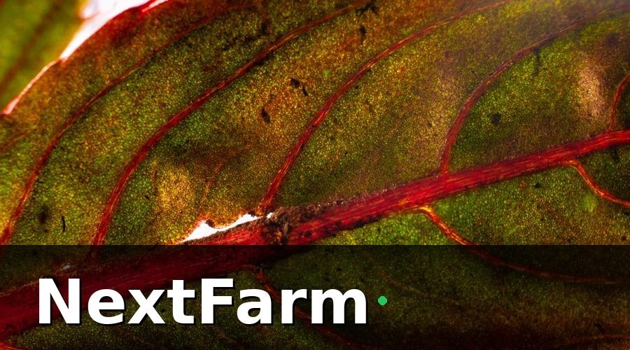 NextFarm — 3. AI phát hiện sâu bệnh qua hình ảnh