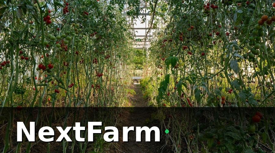 NextFarm — 3. Hỗ trợ quản lý đa loại hình sản xuất