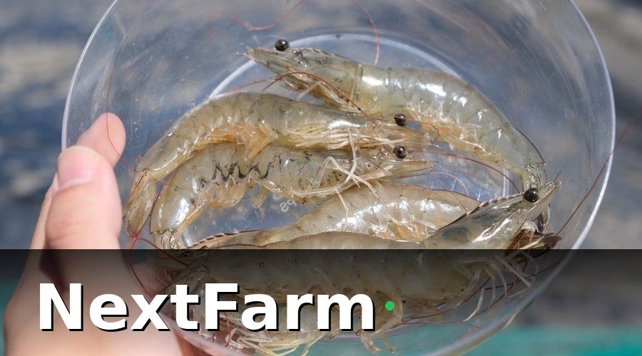 NextFarm — 1. Giám sát thông số nước real-time