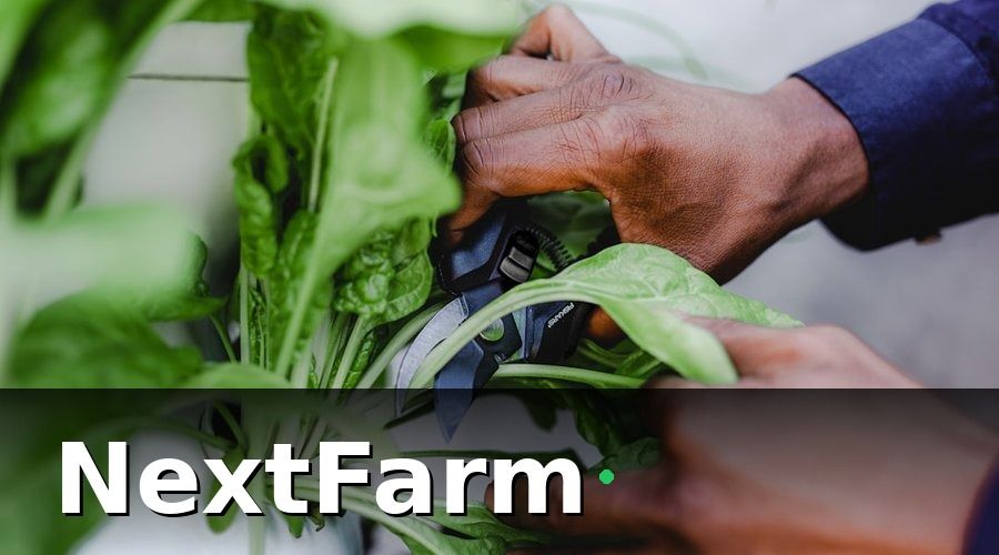 NextFarm — 1. Hỗ trợ giám sát thông số dinh dưỡng và môi trường real-time