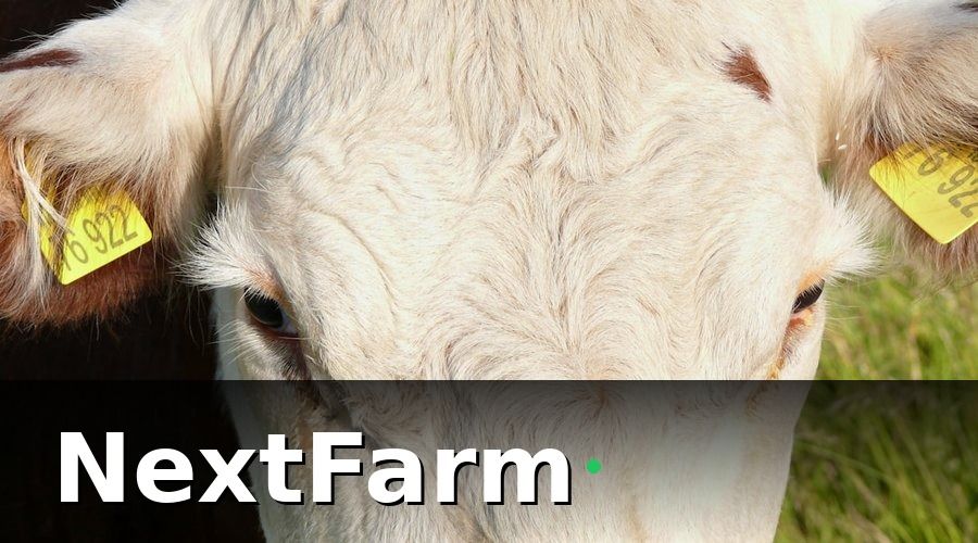 NextFarm — 2. Quản lý hồ sơ cá thể từng con bò