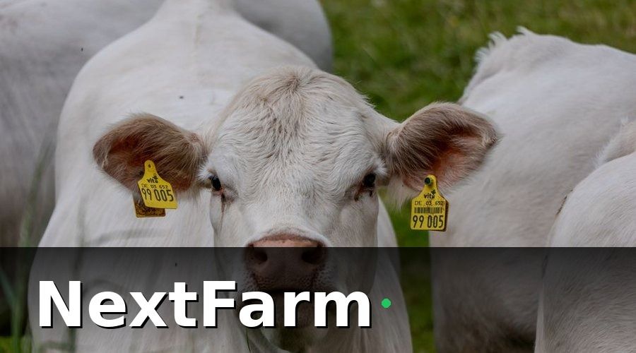 NextFarm — 1. Quản lý hồ sơ từng con bò: càng chi tiết càng tốt