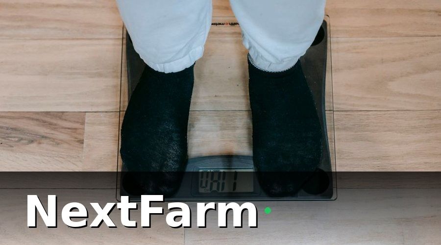 NextFarm — 2. Theo dõi tăng trọng và dự báo thời điểm xuất chuồng