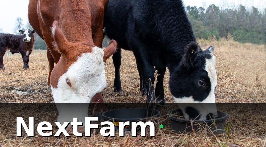 NextFarm — 3. Quản lý chi phí thức ăn và tính toán FCR