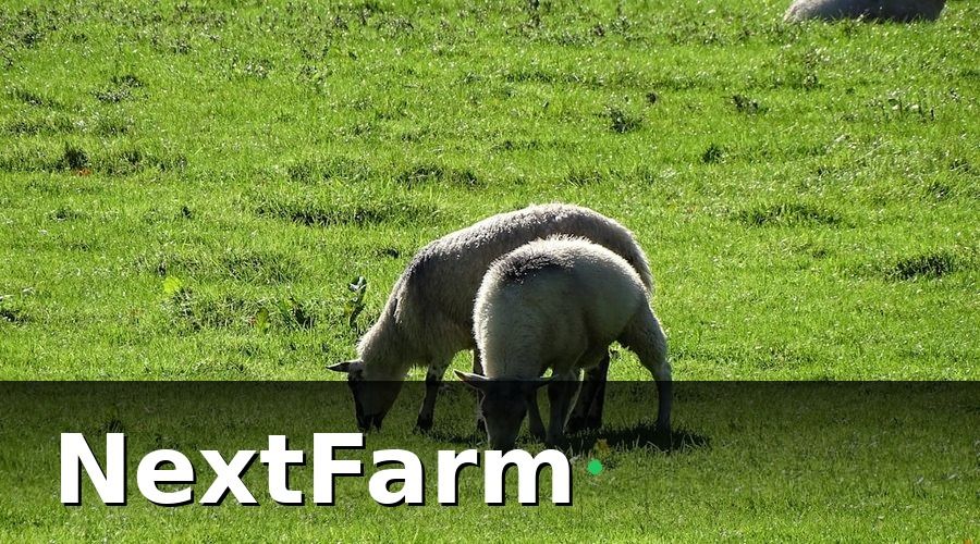 NextFarm — 1. Có hỗ trợ quản lý đàn gia súc nhỏ nhai lại không?