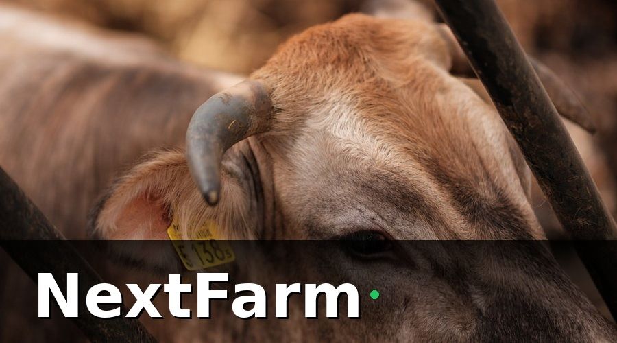 NextFarm — 2. Quản lý lý lịch cá thể từng con