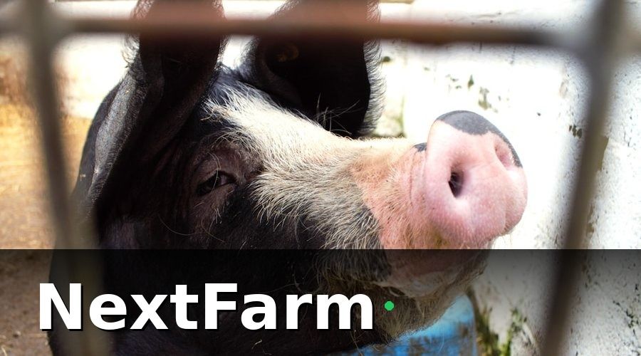NextFarm — 1. Phù hợp với quy mô đàn heo của bạn